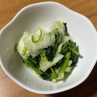 白菜と小松菜の浅漬け